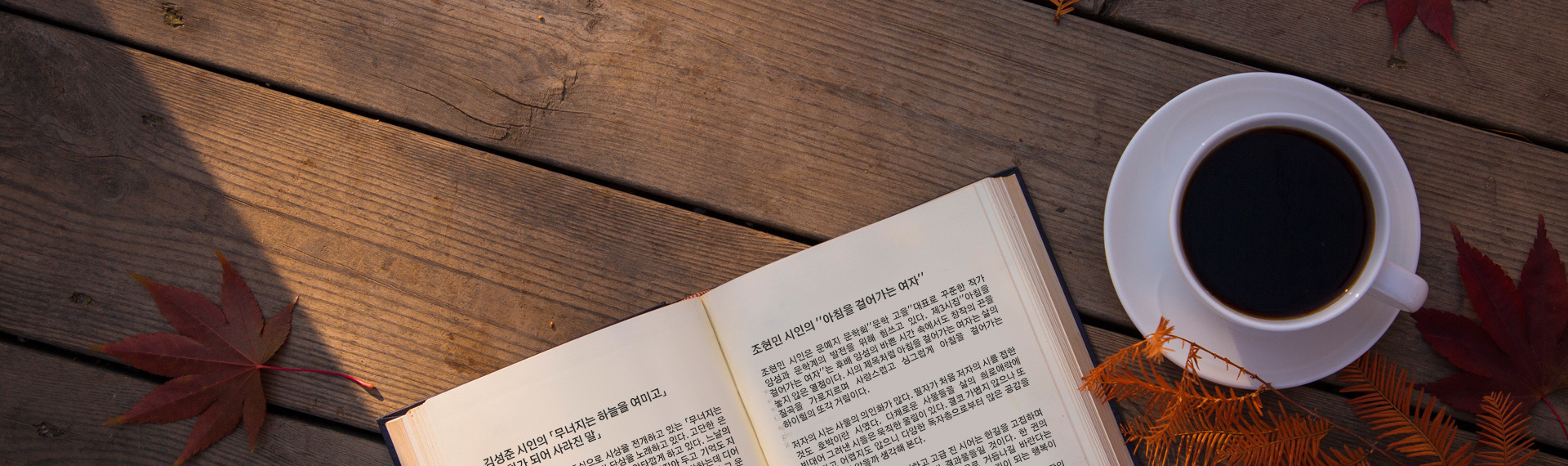 엘리트 문학의 산실<br>등단의 길잡이